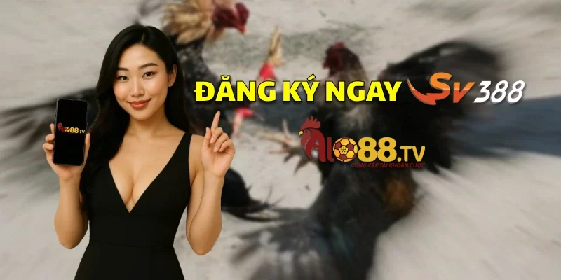 dangkysv3881