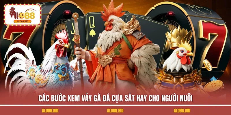 Xem Vảy Gà Đá Cựa Sắt Hay - Mẹo Chọn Gà Chiến Chuẩn Xác 2 Các bước xem vảy gà đá cựa sắt hay cho người nuôi