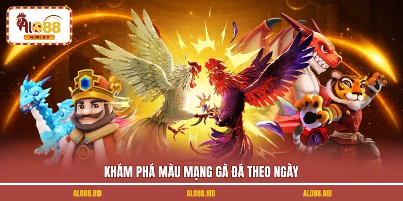 Khám phá màu mạng gà đá theo ngày