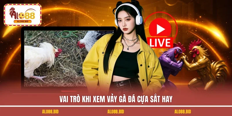 Xem Vảy Gà Đá Cựa Sắt Hay - Mẹo Chọn Gà Chiến Chuẩn Xác 1 Vai trò khi xem vảy gà đá cựa sắt hay