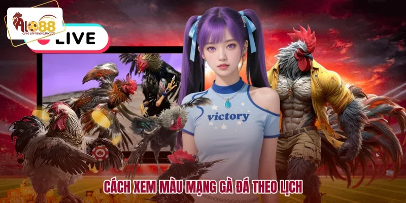 Xem Màu Mạng Gà Đá Chuẩn Phong Thủy Ngũ Hành Mới Nhất 3 Cách xem màu mạng gà đá theo lịch